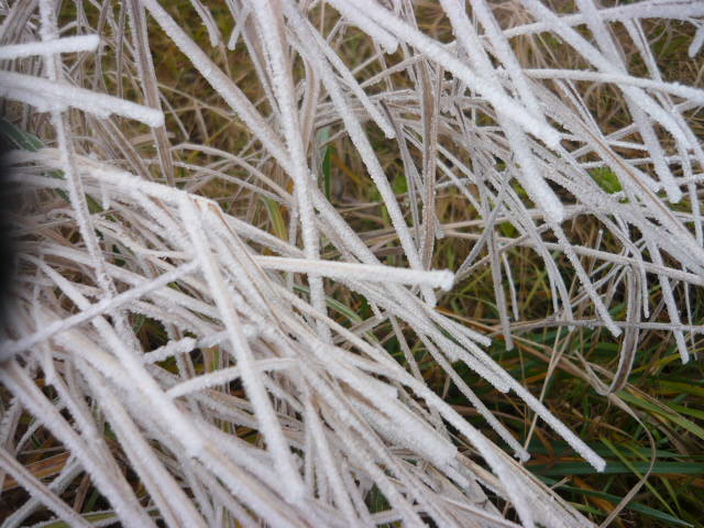 P1080597