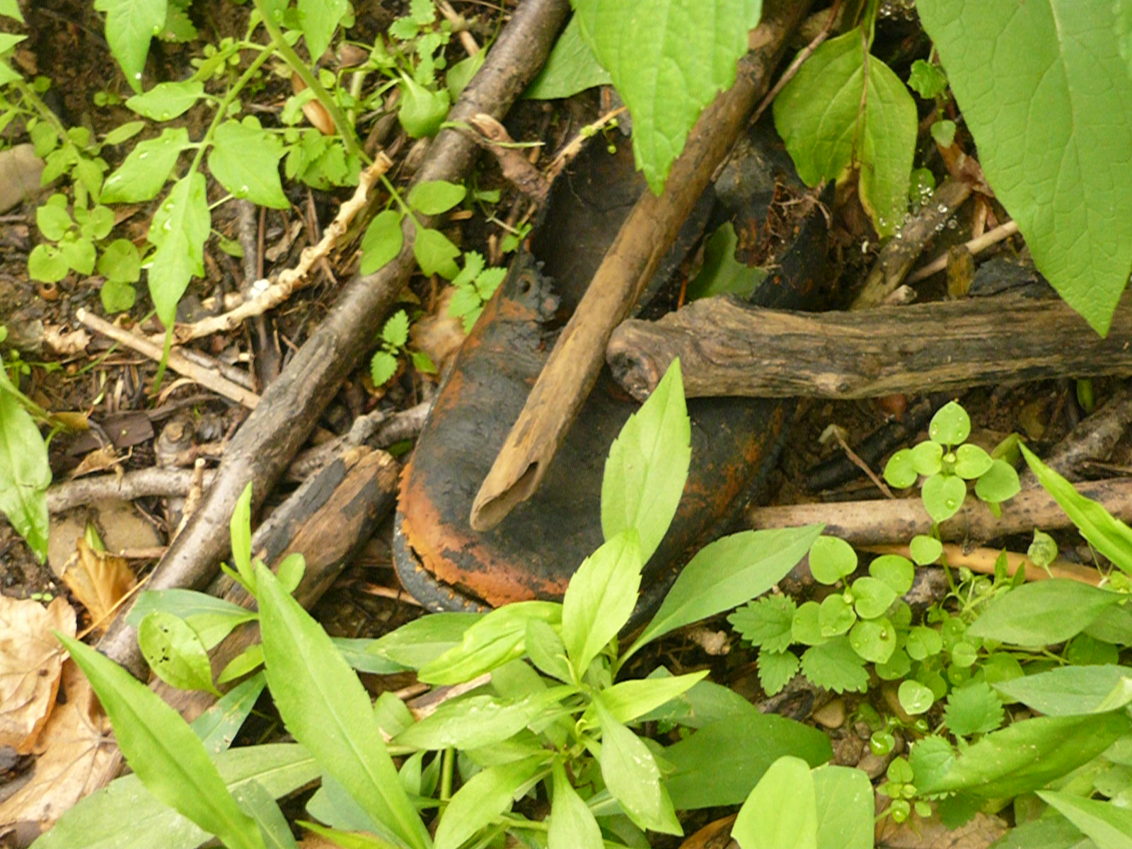 P1080027